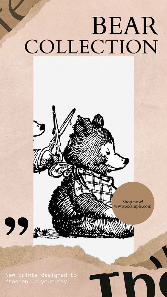 Bear collection social story template, editable text