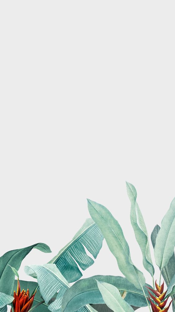 Tropical border off-white mobile wallpaper, editable floral design