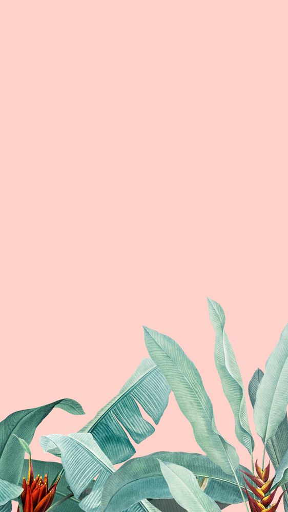 Tropical border pink mobile wallpaper, editable floral design