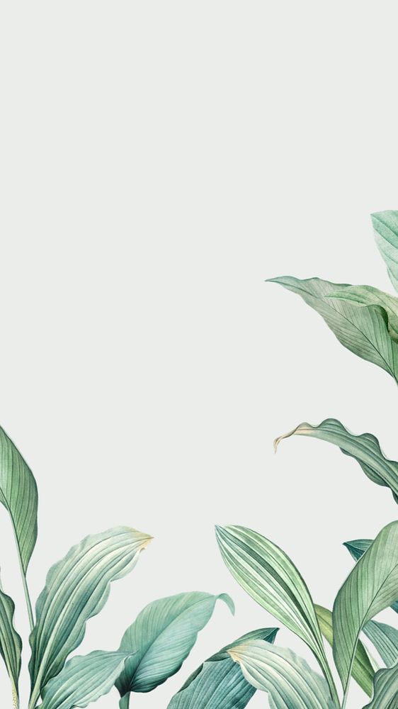 Leaf border off-white mobile wallpaper, editable tropical design