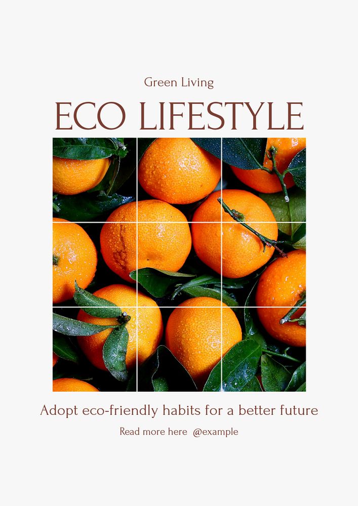 Eco lifestyle poster template, editable text & design