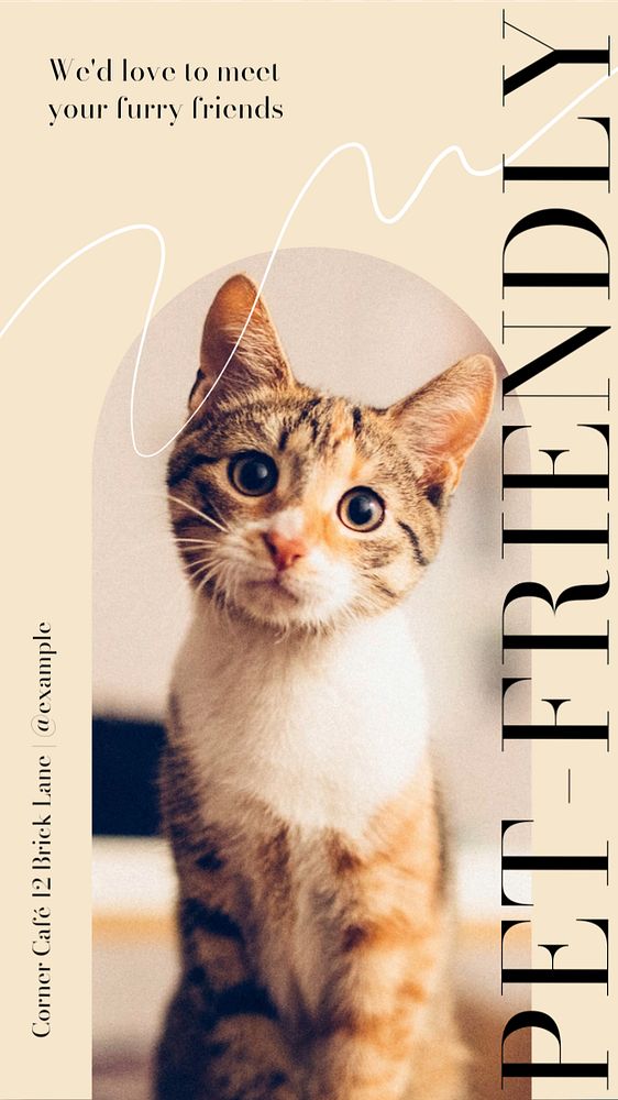 Pet-friendly cafe social story template, editable text