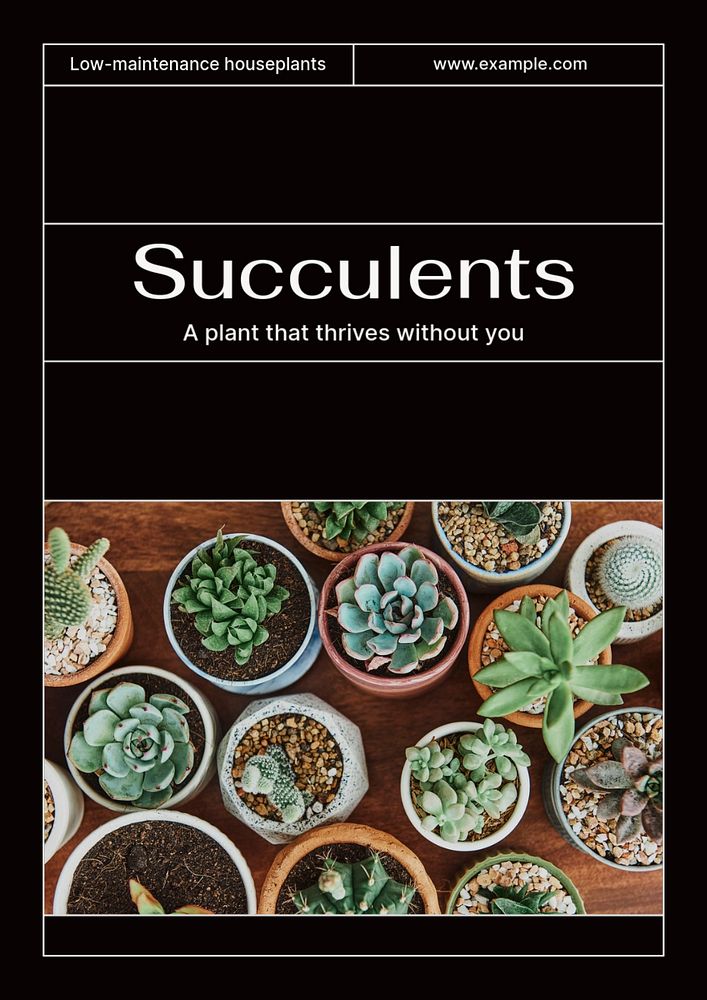 Succulents poster template, editable text & design