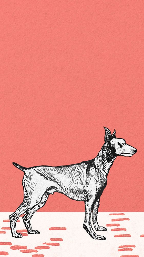 Red vintage doberman iPhone wallpaper, editable design