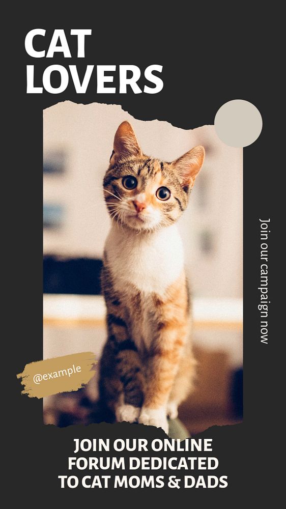 Cat lovers social story template, editable Instagram design