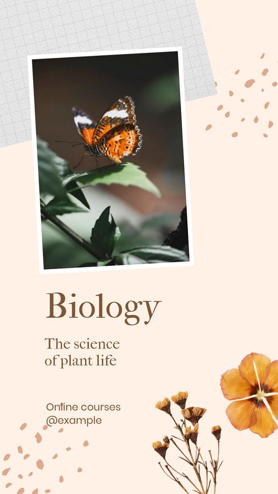 Biology social story template, editable Instagram design