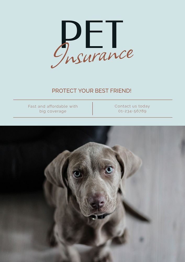 Pet insurance poster template, editable text & design