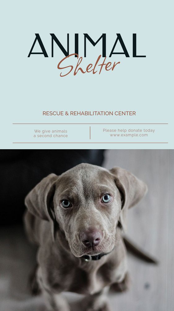 Animal shelter social story template, editable Instagram design