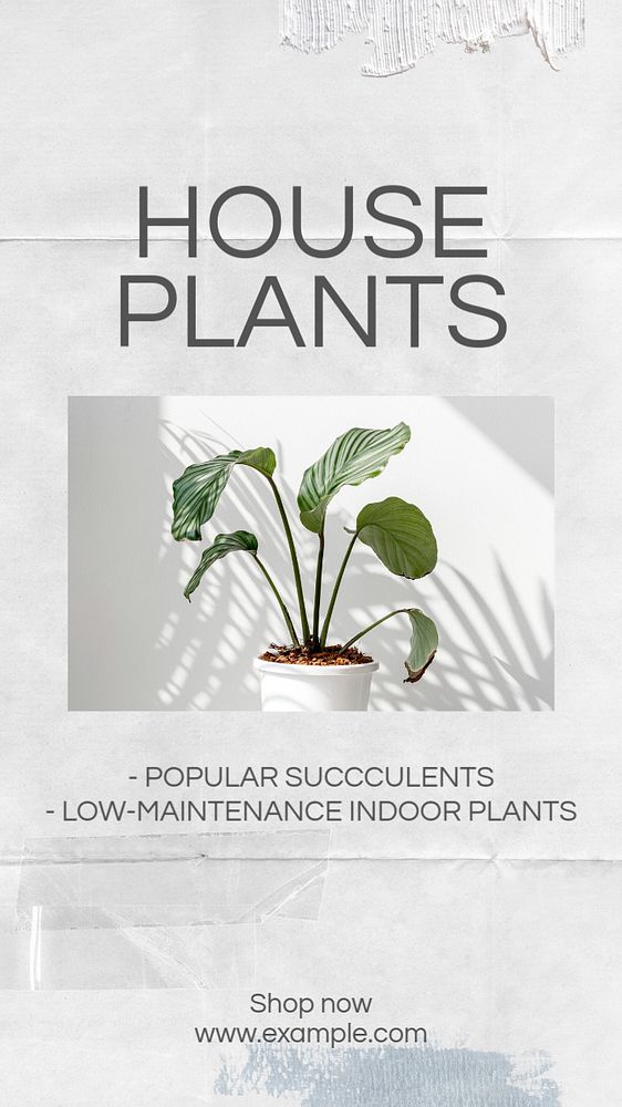 Home plants social story template, editable Instagram design