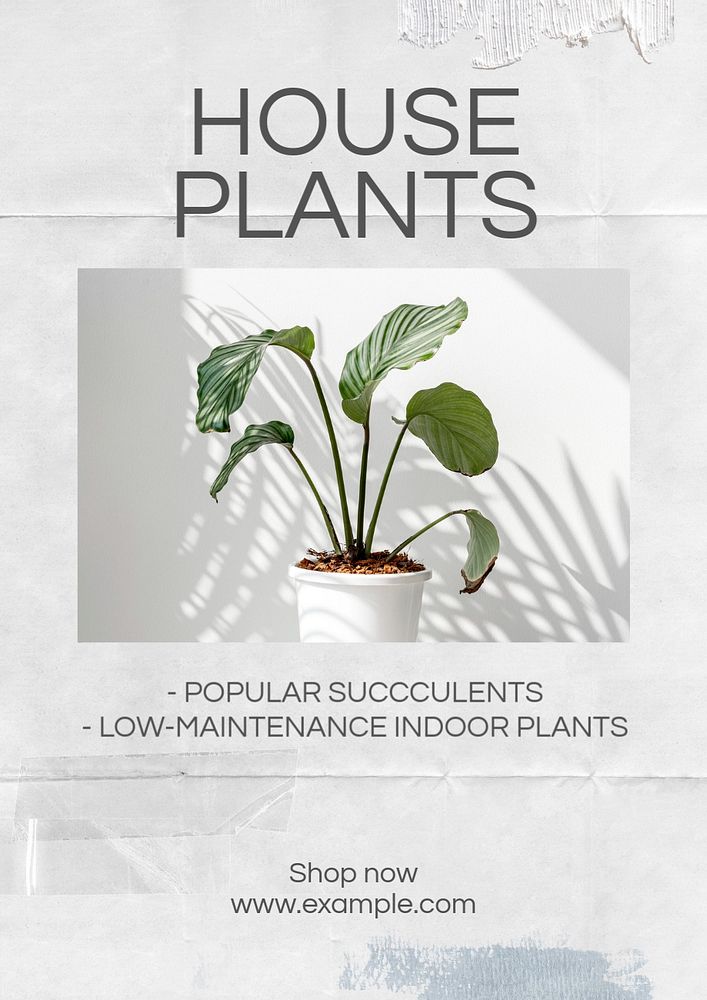 Home plants poster template, editable text & design