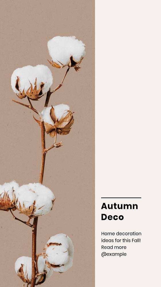 Autumn deco social story template, editable Instagram design