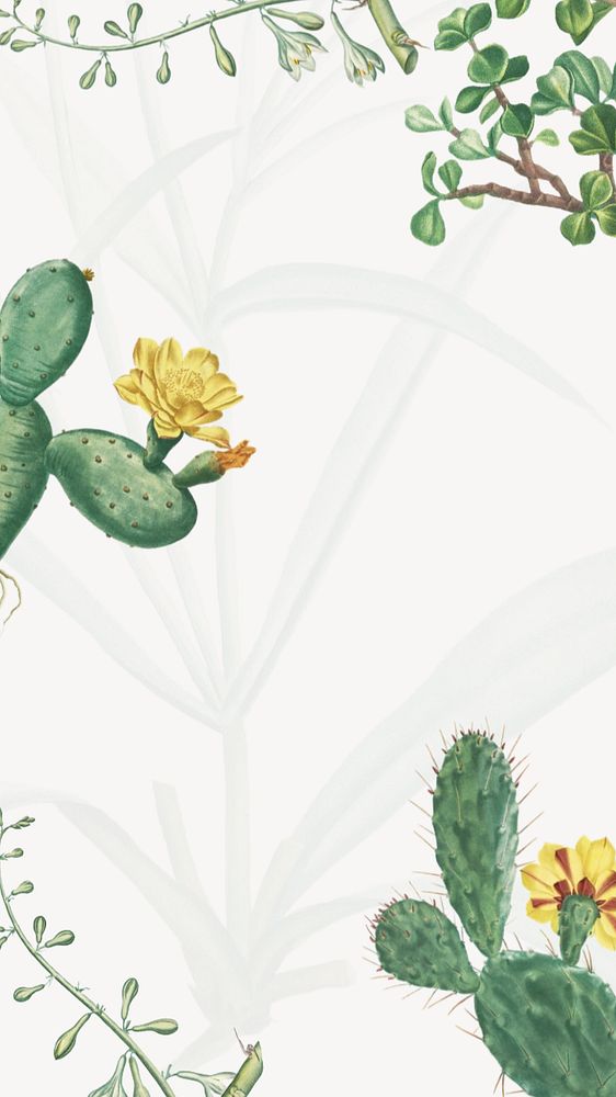 Tropical cactus floral iPhone wallpaper, vintage botanical background, editable design