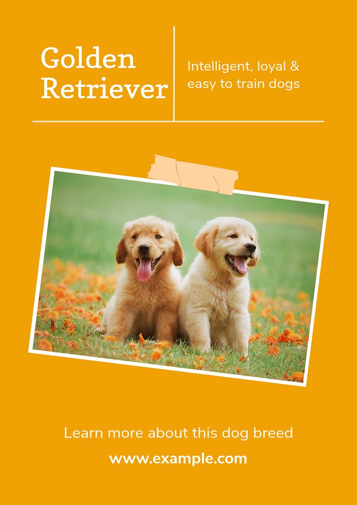 Golden Retriever poster template, editable text & design