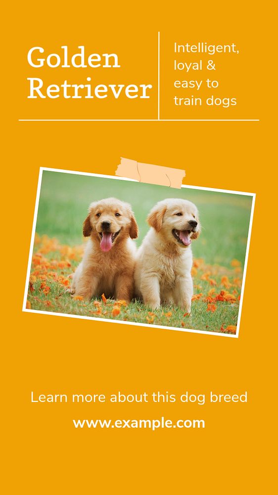 Golden Retriever social story template, editable Instagram design