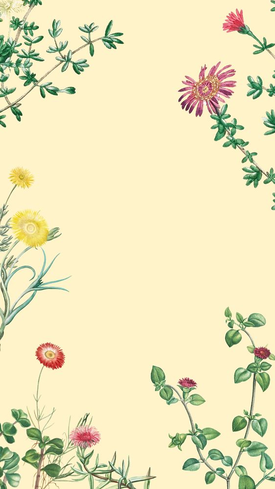 Colorful spring flowers iPhone wallpaper, beige border background, editable design