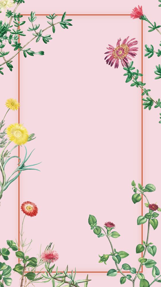 Colorful spring flowers iPhone wallpaper, pink frame background, editable design