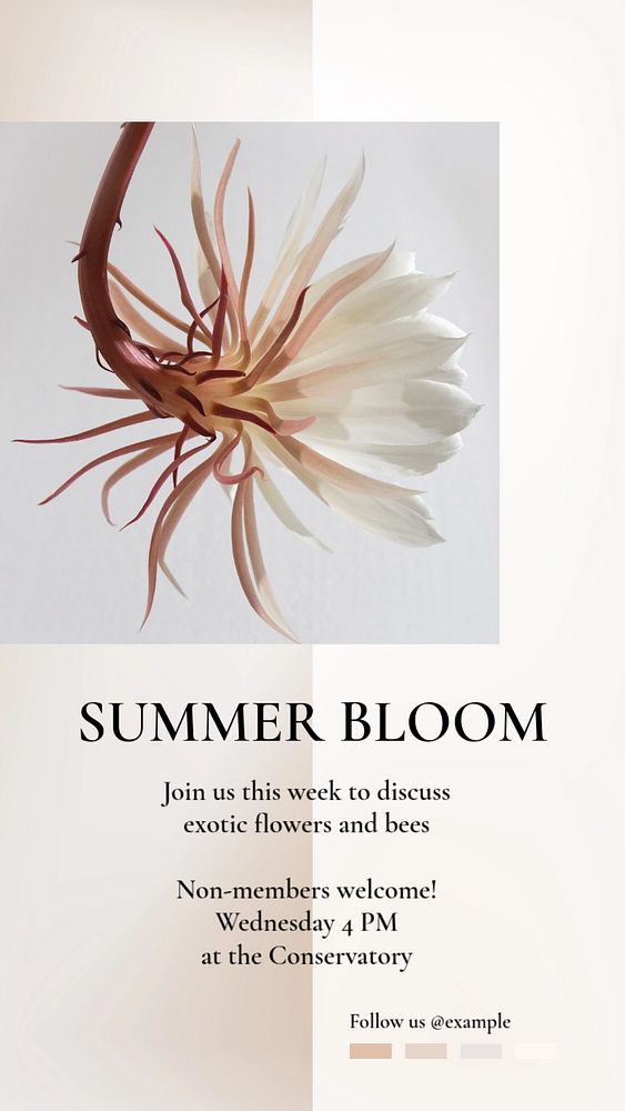 Summer bloom social story template, editable Instagram design