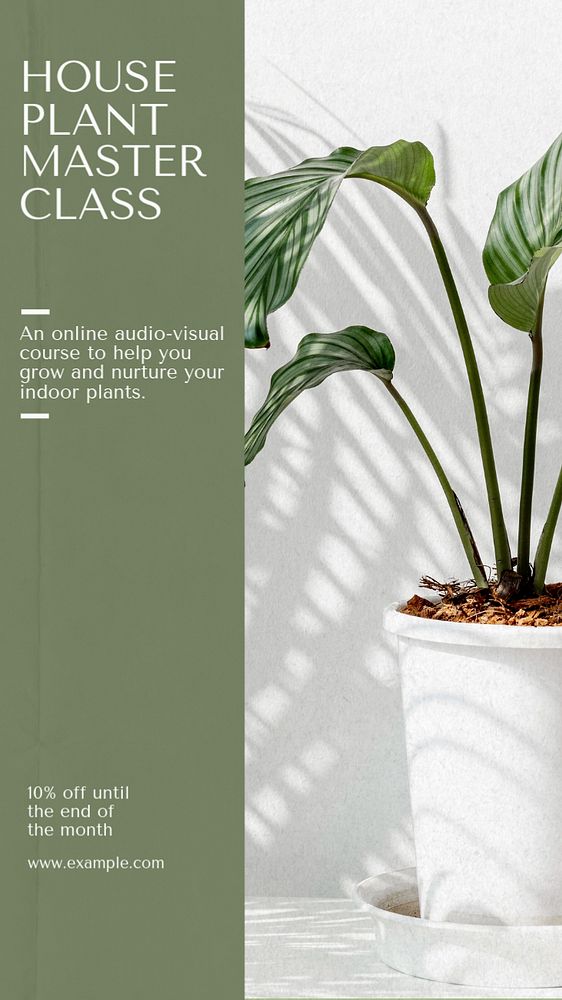 Houseplant masterclass social story template, editable Instagram design