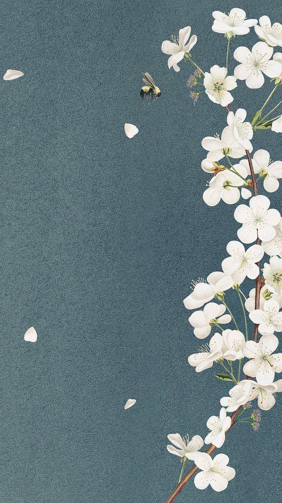 Vintage white flowers, green iPhone wallpaper, editable design