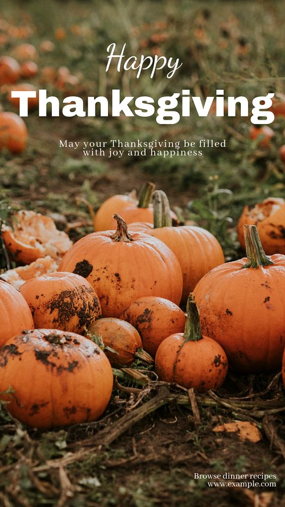 Happy Thanksgiving Facebook story template, editable design