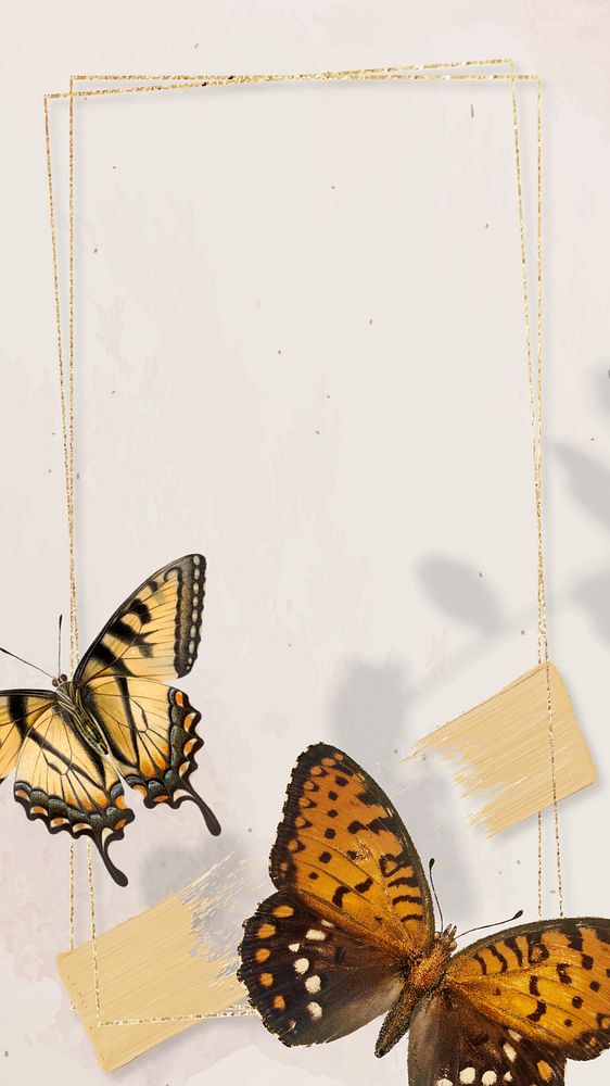 Aesthetic butterfly frame iPhone wallpaper