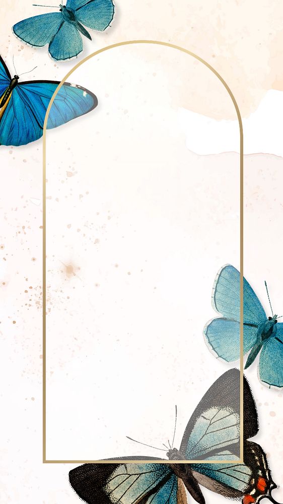 Aesthetic butterfly iPhone wallpaper, arch frame design