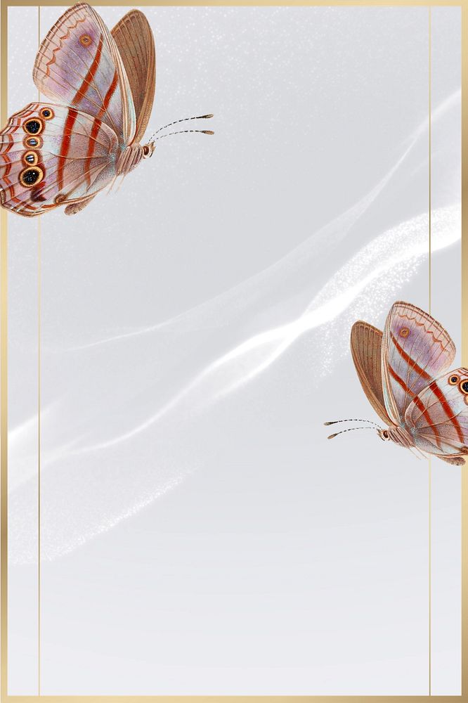 Butterfly frame marble background