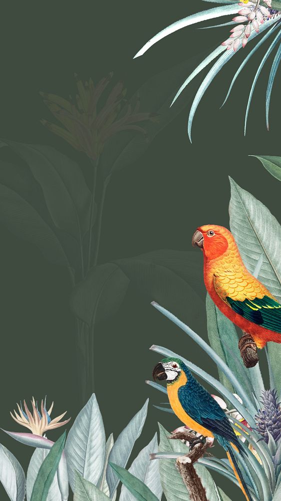Colorful birds, green iPhone wallpaper, editable design