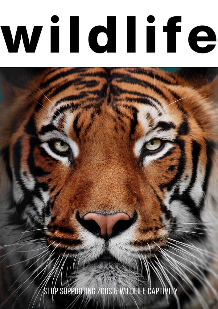 Stop supporting zoos, editable poster template