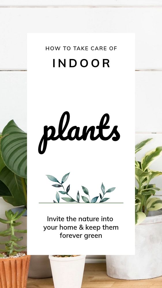 Plants care Facebook story template, editable design