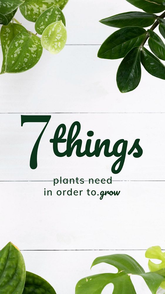 Plants guide Facebook story template, editable design