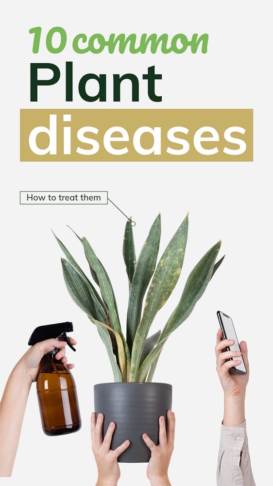 Plant diseases Facebook story template, editable design