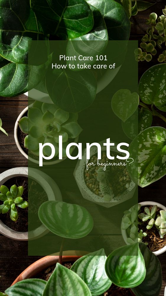 Plant parent Facebook story template, editable design