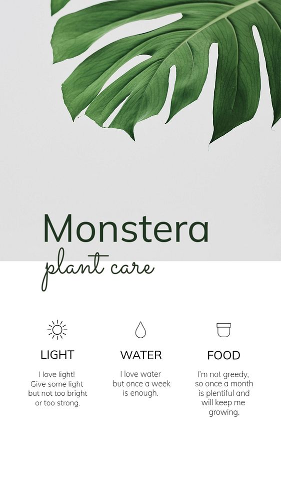 Plant care Facebook story template, editable design