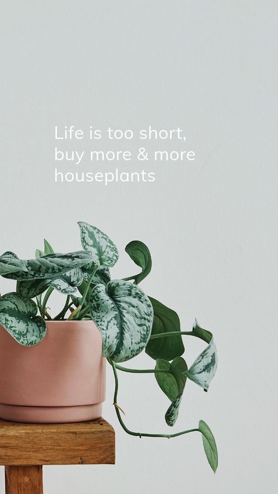 Houseplant quote Instagram story template, editable design