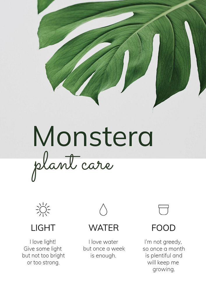 Plant care poster template, editable design