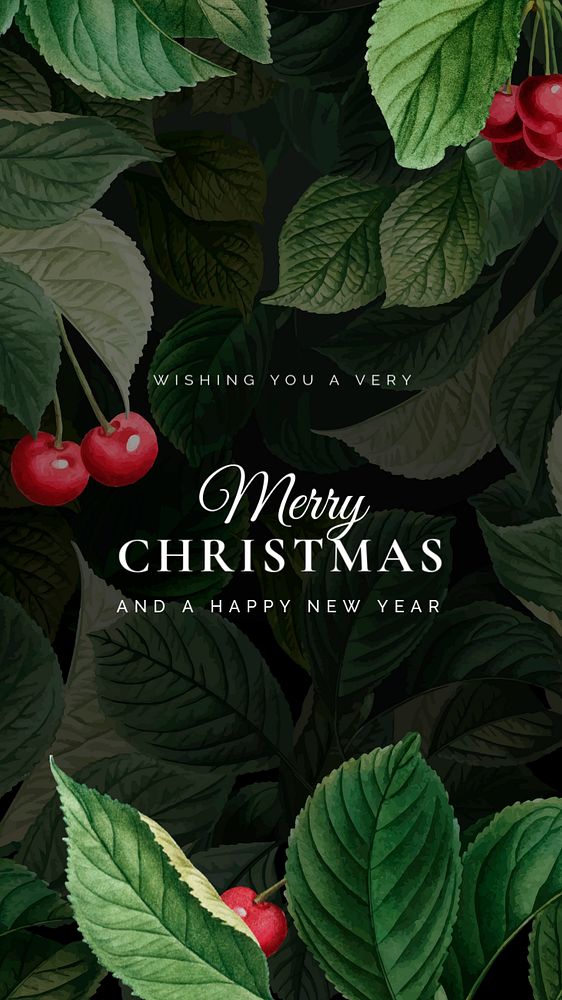 Christmas greetings Facebook story template, editable text