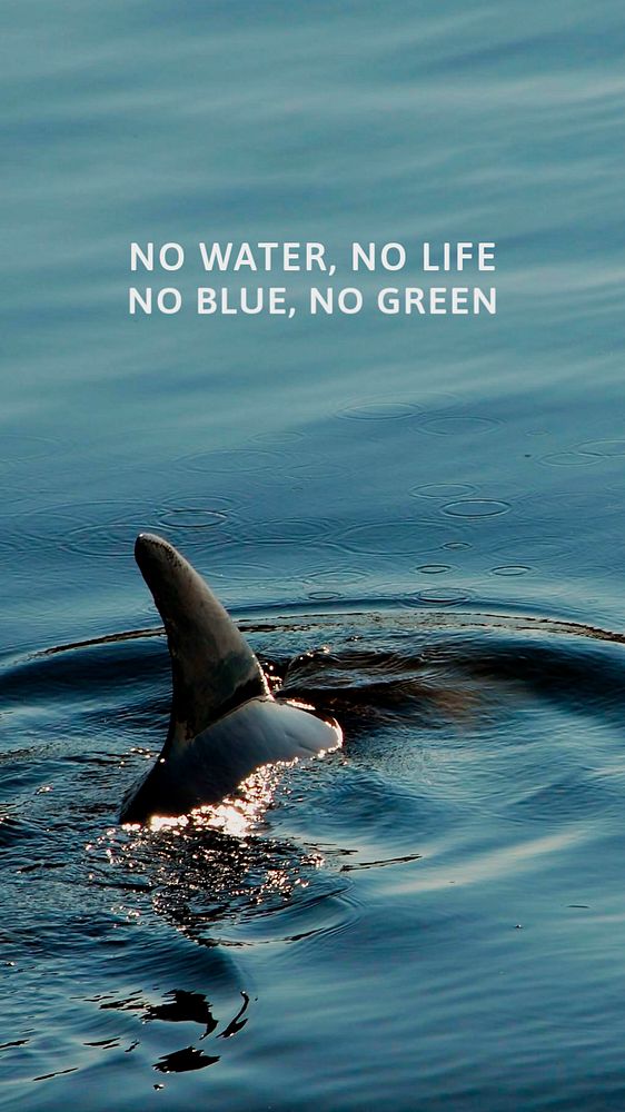 Save oceans Instagram story template, editable design