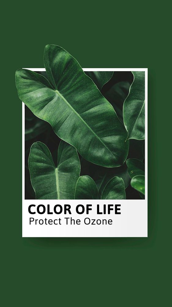 Environment protection Instagram story template, editable design