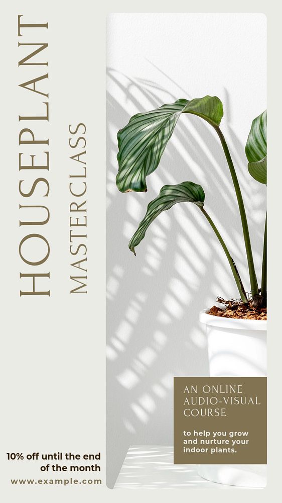 Houseplant masterclass Instagram story template, editable design