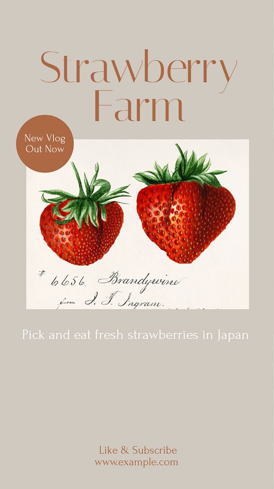 Strawberry farm Instagram story template, editable design