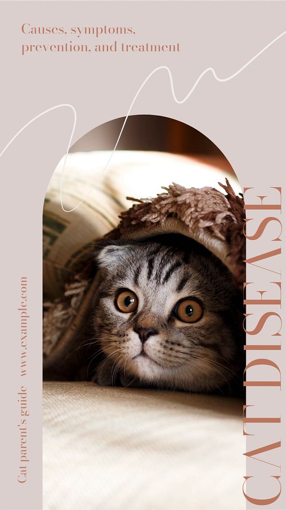 Cat disease Instagram story template, editable design