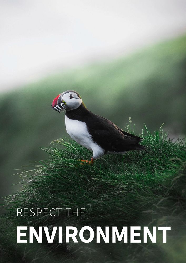 Respect the environment poster template with puffin in nature