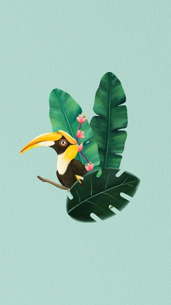 Hand-drawn hornbill phone wallpaper, editable wild bird design