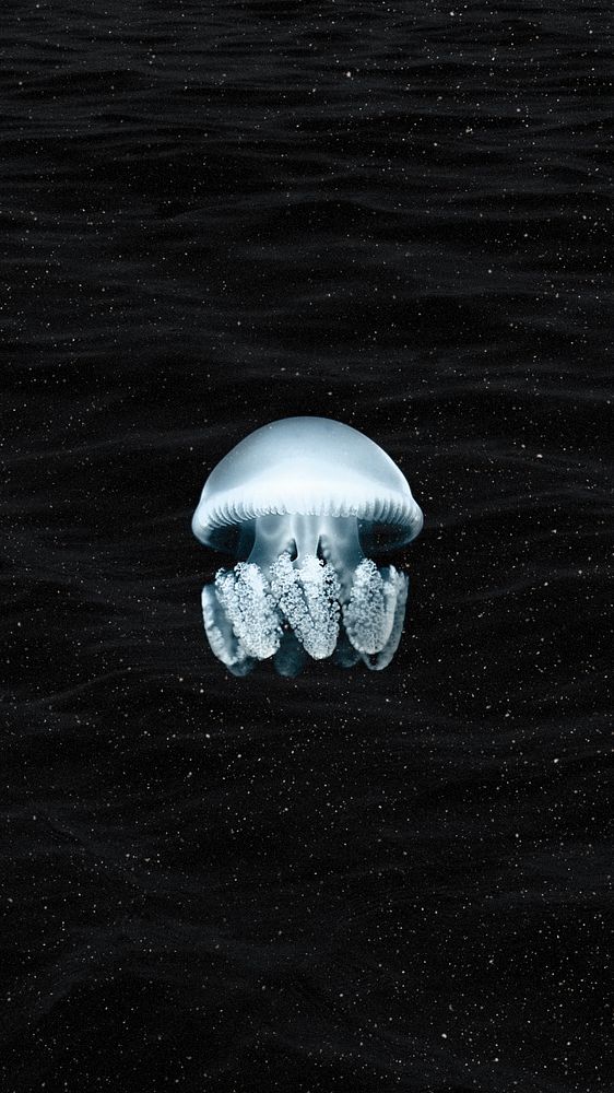 Aesthetic jellyfish iPhone wallpaper, dark animal background