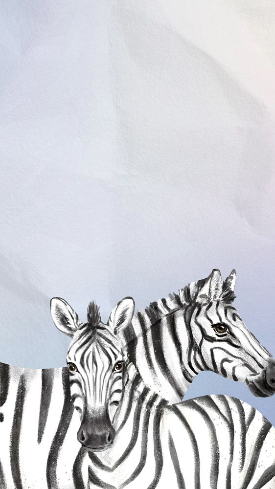 Zebra wildlife iPhone wallpaper, paper texture background