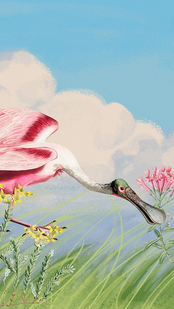 Roseate Spoonbill bird mobile wallpaper, vintage animal background