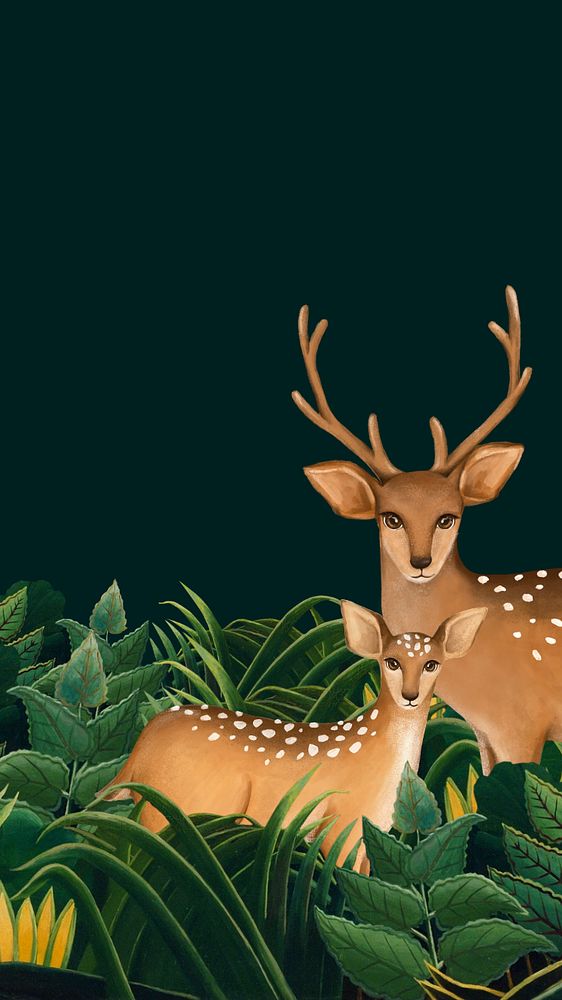 Deer dark iPhone wallpaper, wildlife drawing illustration