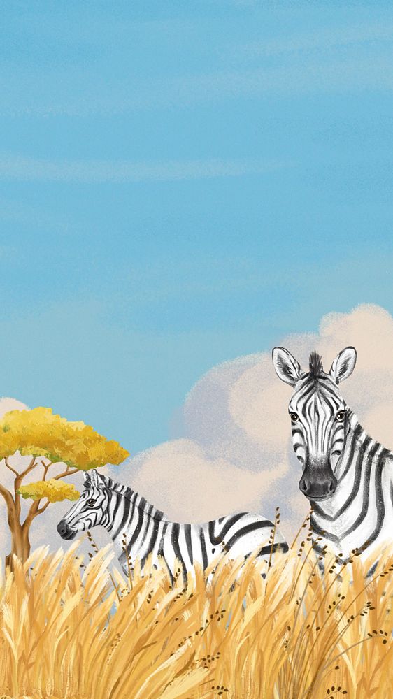 Zebra wildlife iPhone wallpaper, animal background