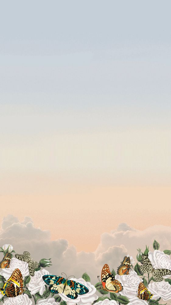 Aesthetic sky iPhone wallpaper, editable vintage butterfly border background